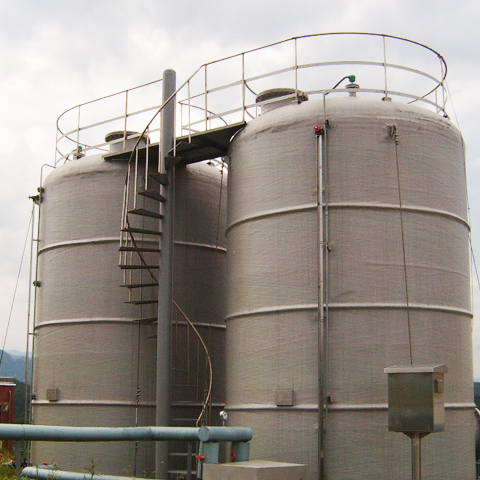 Shinhan Chemical 
